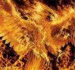 Photo de fire of phoenix