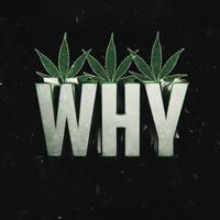 Photo de Whyouuu