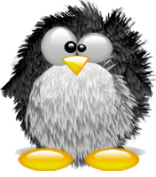 Photo de touchfrench