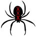Photo de spiderxxx