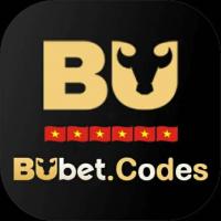 Photo de bubetcodes