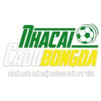 Photo de egyptsportsnetworknet