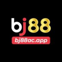 Photo de bj88acapp1