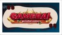 Photo de gamebaiwales1