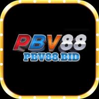 Photo de pbv88bid1