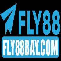 Photo de Fly88baycom1