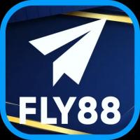 Photo de Fly88gbnet1