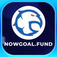Photo de nowgoalfund