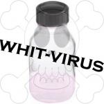 Photo de Whit-virus