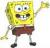 Photo de Sponge Bob