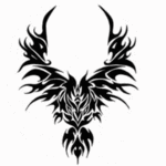 Photo de phoenix5002