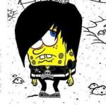 Photo de bobsponngieux