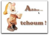 Photo de atchoum