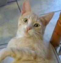 Photo de picsou148