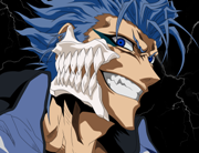 Photo de Grimmjow57