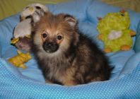 Photo de jeanbernardo