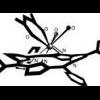 Photo de Electrospectroscopic