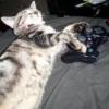 Port usb Ps4 Slim ne m'arche plus - last post by hyuga78