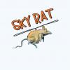 [PSP/Vita] PPSSPP v1.12 disponible - dernier message par SkYRaT